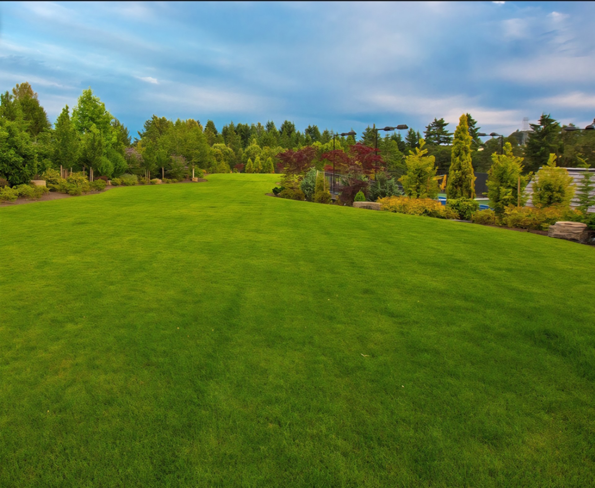 groomed lawn with trees