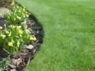 Resized_Screenshot_20250606_165823_GoogleX237